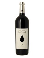 Furtiva Lágrima, 2015